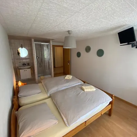 Hotel Des Trois Coeurs فندق Vaulion